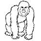 Gorilla coloring page