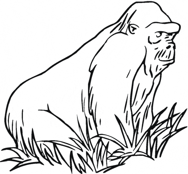free Gorilla coloring page