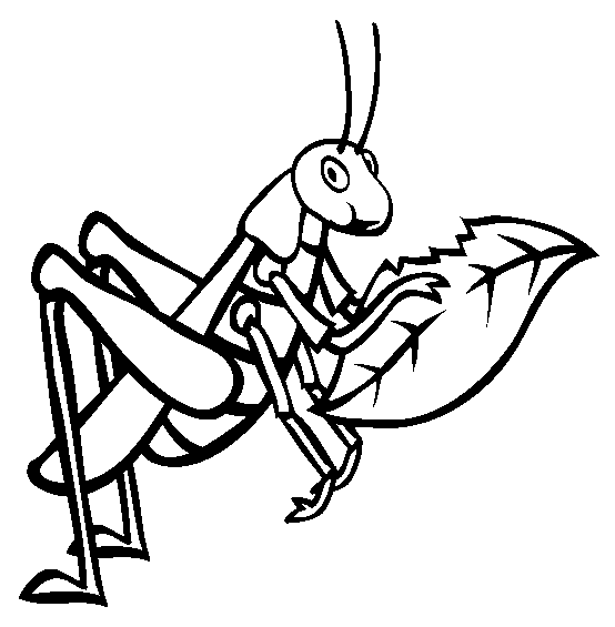 Printable Grasshopper Coloring Page