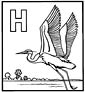 Great Blue Heron coloring page