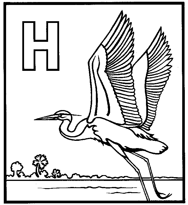 great blue heron coloring 02