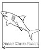 great white shark coloring page