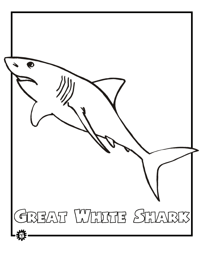 free Great White Shark coloring page printable