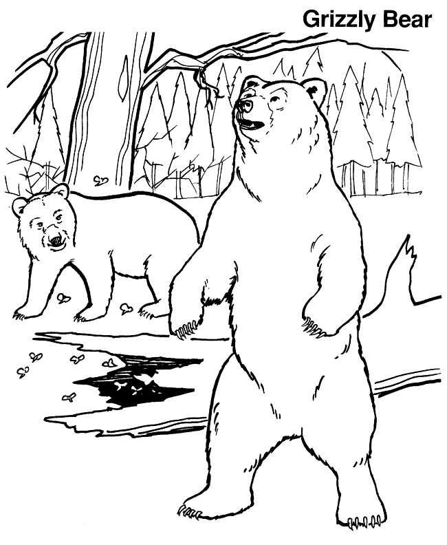 100  Bear Coloring Pages Colored Best