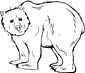 Grizzly Bear coloring page