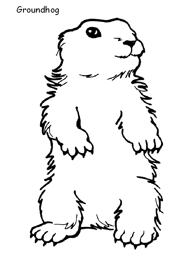 Groundhog coloring page