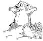 Groundhog coloring page