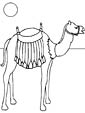 guanaco coloring page