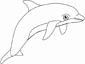 Harbor Porpoise coloring page
