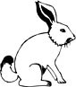 Hare coloring page