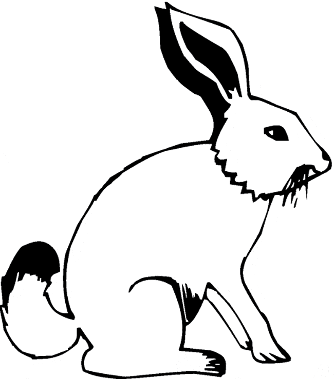 free Hare coloring page