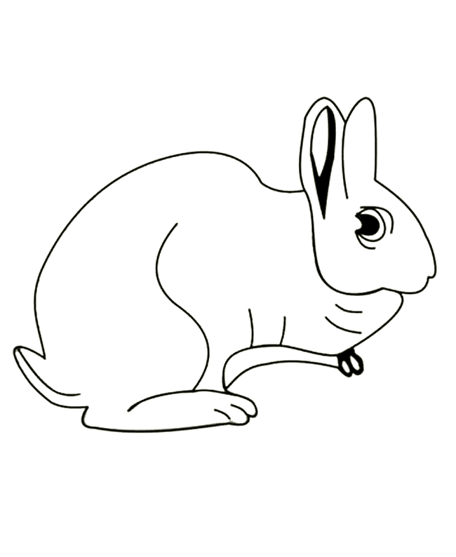 free Hare coloring page