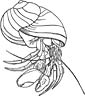 Hermit Crab coloring page