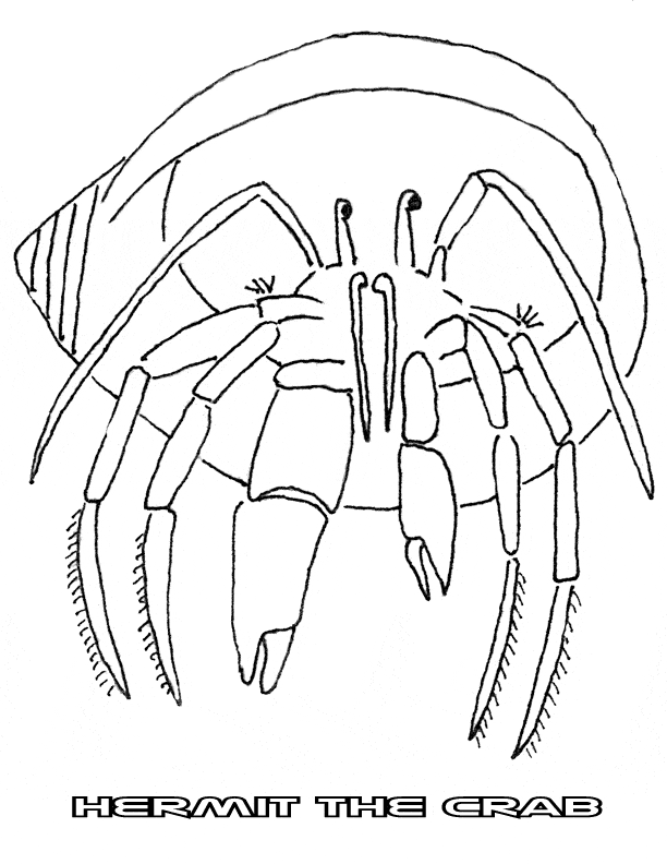 free Hermit Crab coloring page