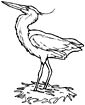 Herron coloring page