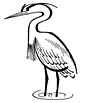 heron coloring page