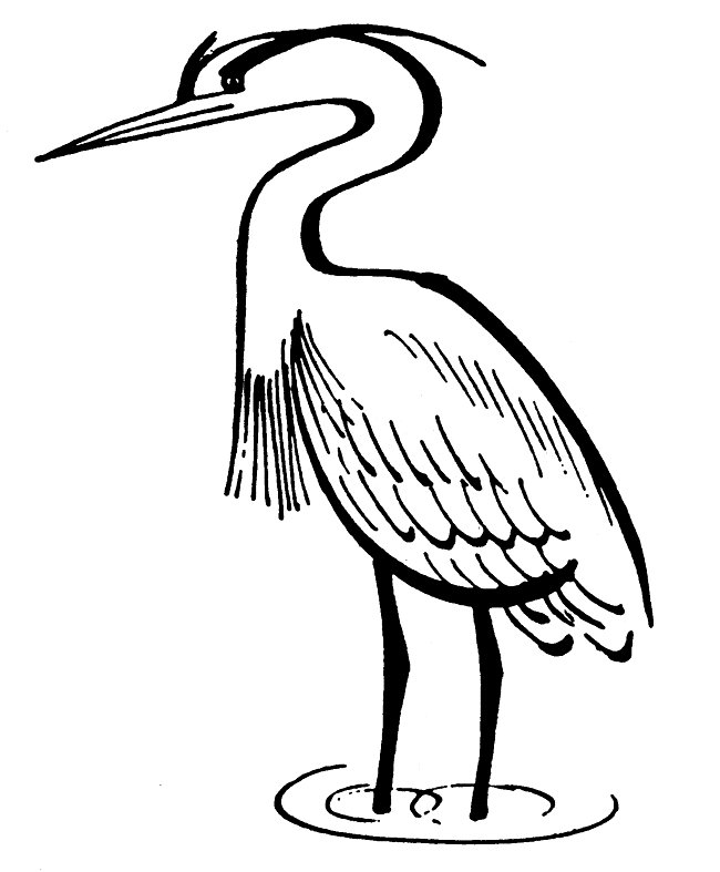 free Herron coloring page