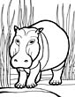 Hippopotamus coloring page