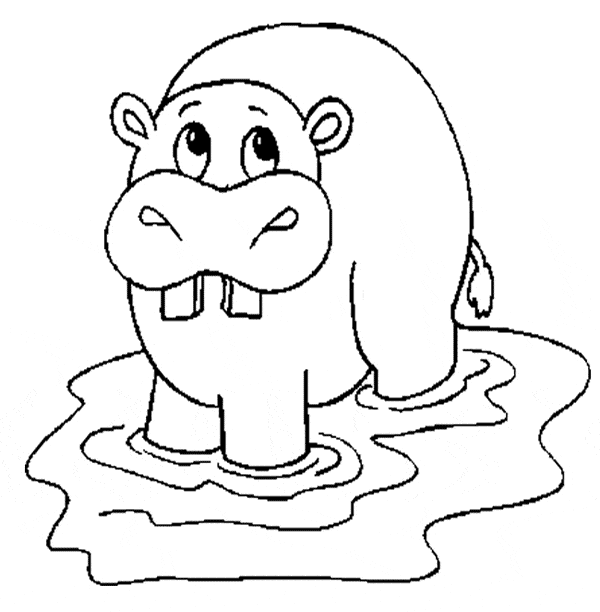 Hippopotamus (Hippo) coloring page - Animals Town - Free Hippopotamus (Hippo) color sheet