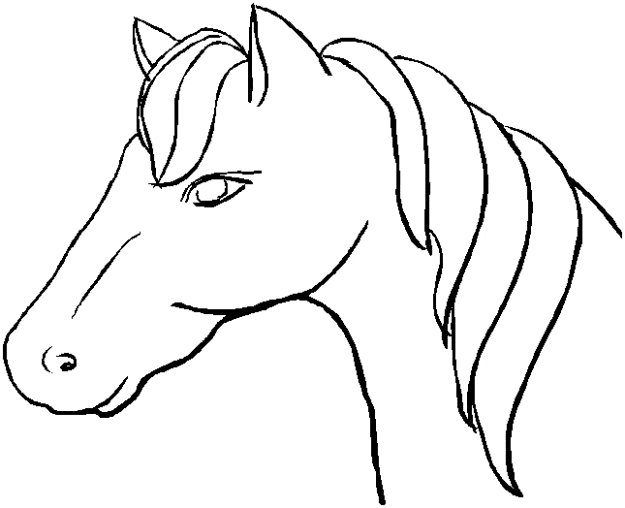 free Horse coloring page