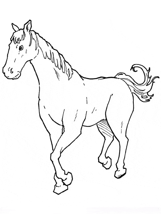 Horse coloring page - Animals Town - Free Horse color sheet
