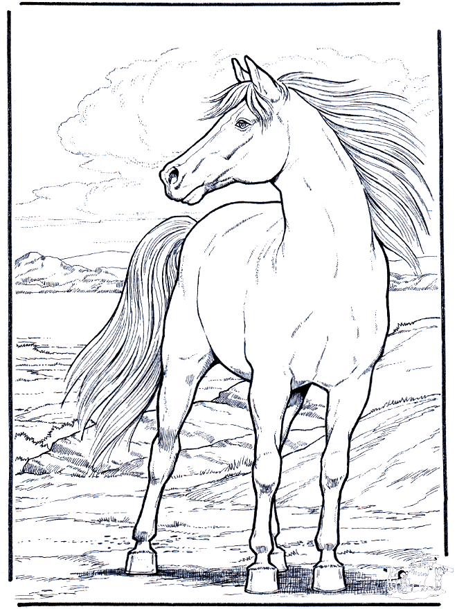 free Horse coloring page