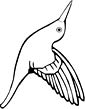 hummingbird coloring page