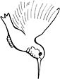 Hummingbird coloring page