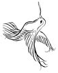 Hummingbird coloring page