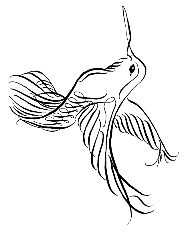 free Hummingbird coloring page