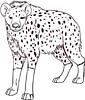 hyena coloring page