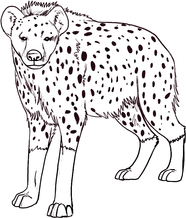 free Hyena coloring page printable