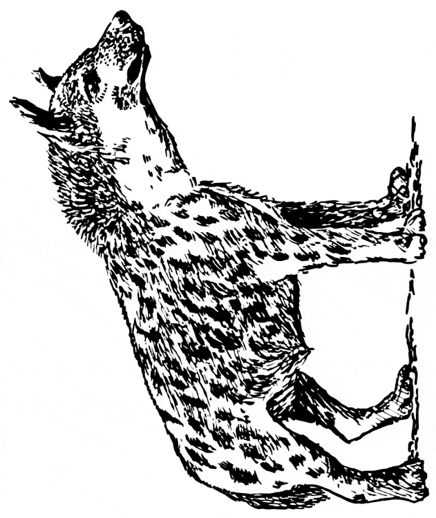 free Hyena coloring page printable