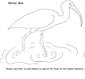 Ibis coloring page