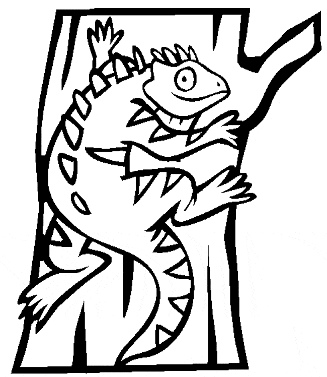 printable Iguana in a tree coloing page
