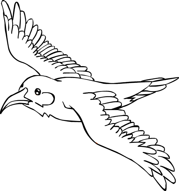 free I'iwi coloring page