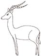 Impala coloring page