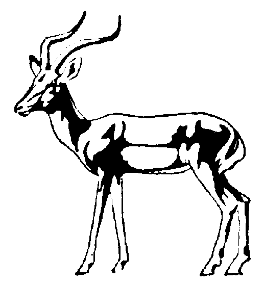 free Impala coloring page sheet