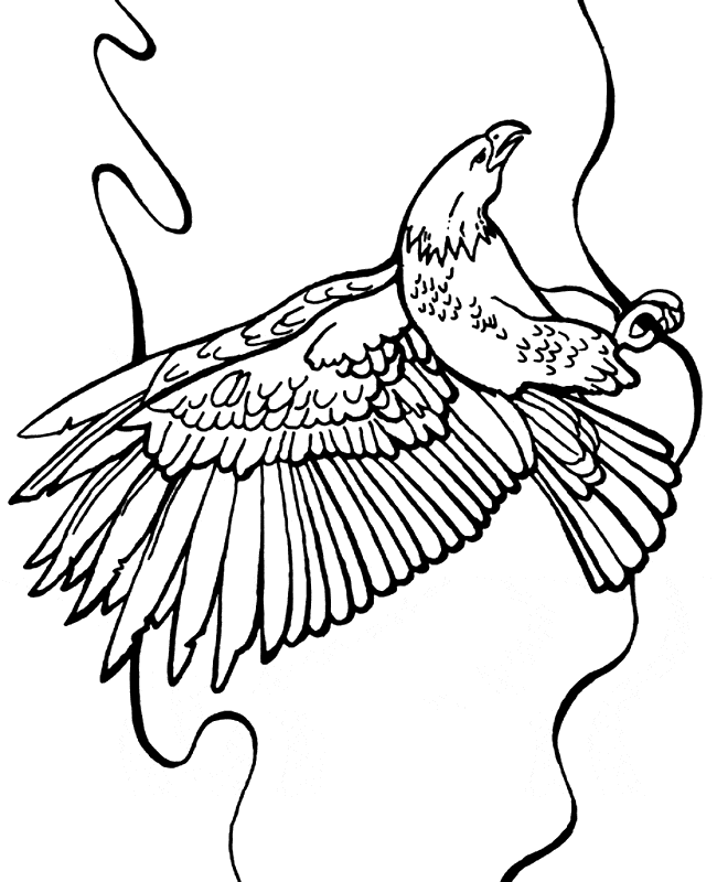 free Imperial Eagle coloring page