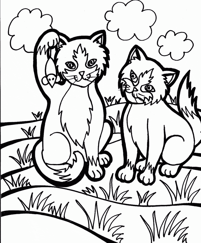 free Iriomote Cat coloring page
