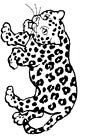 Jaguar coloring page