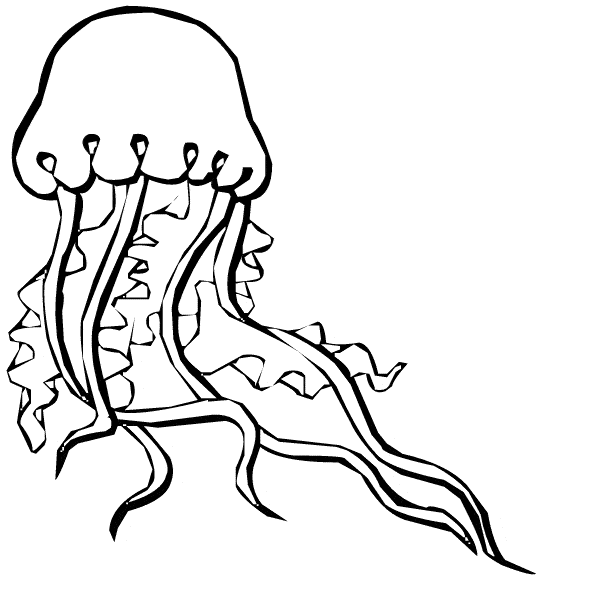 free Jellyfish coloring page