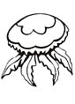 Jellyfish coloring page