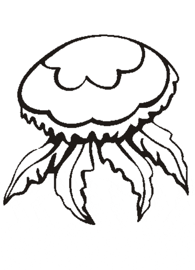 free Jellyfish coloring page