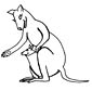 Kangaroo coloring page