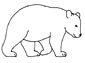 Kermode Bear coloring page