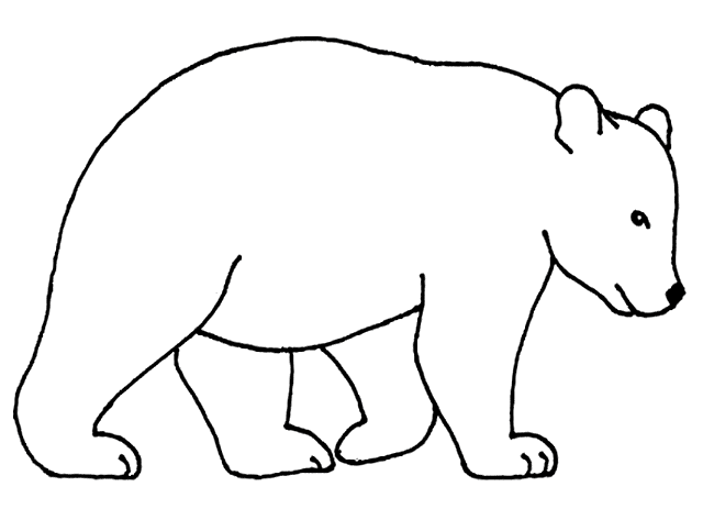 free Kermode Bear coloring page