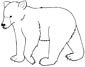 Kermode Bear coloring page