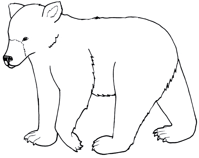 free Kermode Bear coloring page