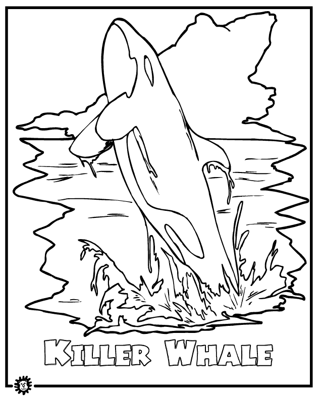 free Killer Whale (Orca) coloring page